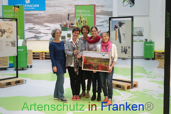© Artenschutz in Franken® Bild zum Eintrag (94960-160)