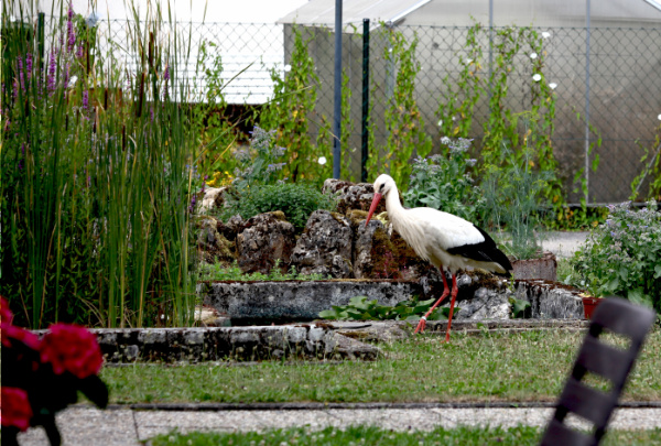 Copyright AiF / LBV M.Müller Bild zum Eintrag (101054-160)