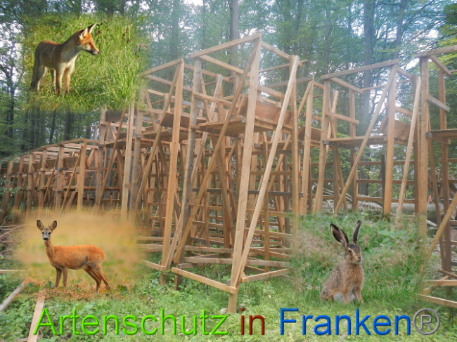 © Artenschutz in Franken® Bild zum Eintrag (1010945-160)