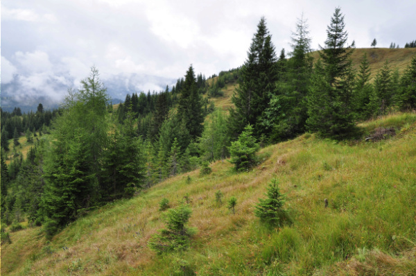 Copyright AiF/LBV Bild zum Eintrag (101564-160)