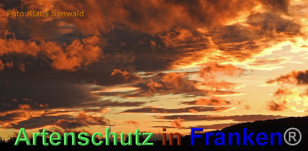 Copyright AiF / Klaus Sanwald Bild zum Eintrag (102488-160)