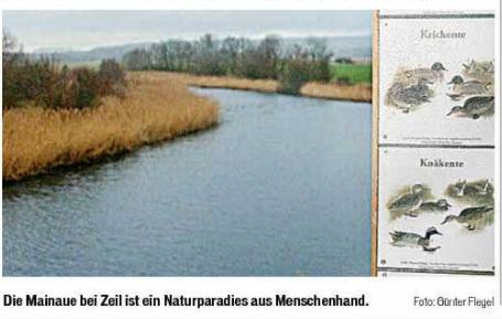 Bild zum Eintrag (21518-160)