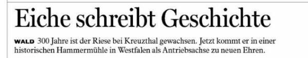 Copyright AiS / FT HAS - 20.02.2010 Bild zum Eintrag (24813-160)