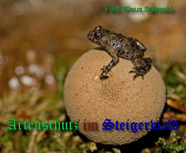 Copyright AiS-Klaus Sanwald Bild zum Eintrag (33286-160)