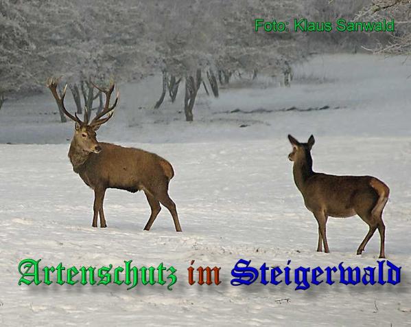 Copyright AiS-Klaus Sanwald Bild zum Eintrag (33294-160)