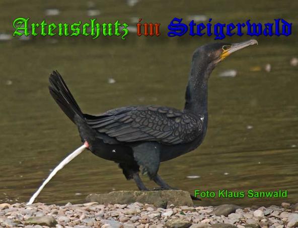 Copyright AiS-Klaus Sanwald Bild zum Eintrag (34163-160)