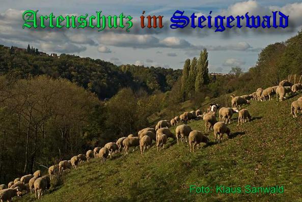 Copyright AiS Klaus Sanwald Bild zum Eintrag (34245-160)