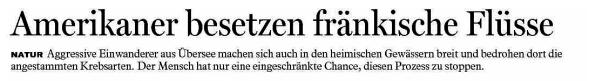 Copyright AiS - FT Bamberg / 13.10.2011 Bild zum Eintrag (34490-160)