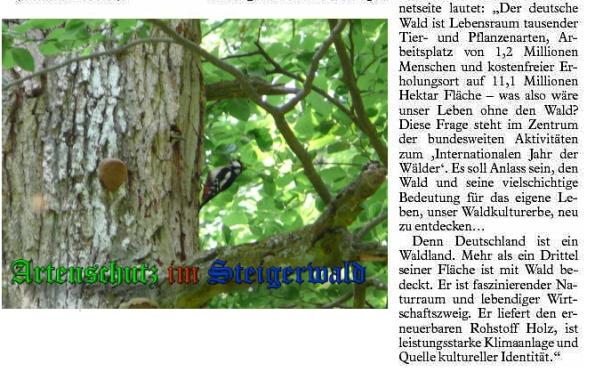Copyright AiS - Fränkischer Tag Bild zum Eintrag (35418-160)