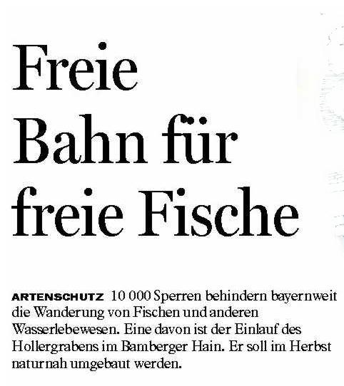 Copyright AiS - FT Bild zum Eintrag (37682-160)