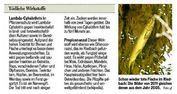 Bild zum Eintrag (38515-160)