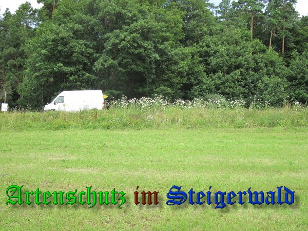 Bild zum Eintrag (38994-160)