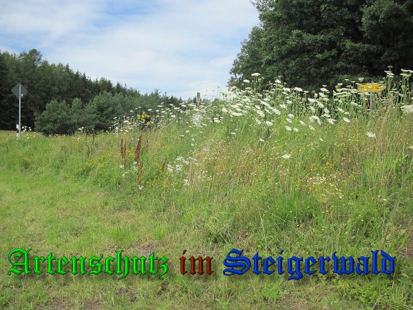 Bild zum Eintrag (38995-160)