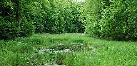 Copyright AiS - Fränkischer Tag Bild zum Eintrag (39754-160)