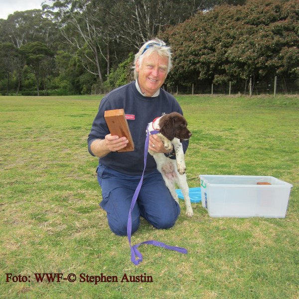 Copyright AiS WWF-Deutschland / Foto:© Stephen Austin / WWF Bild zum Eintrag (43640-160)