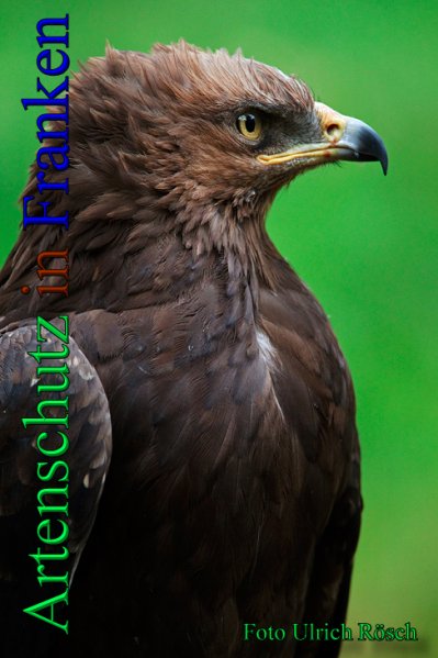 Copyright AiS- Ulrich Rösch Bild zum Eintrag (47510-160)