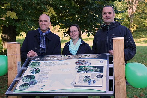 Copyright AiS Allianz Umweltstiftung Bild zum Eintrag (50774-160)
