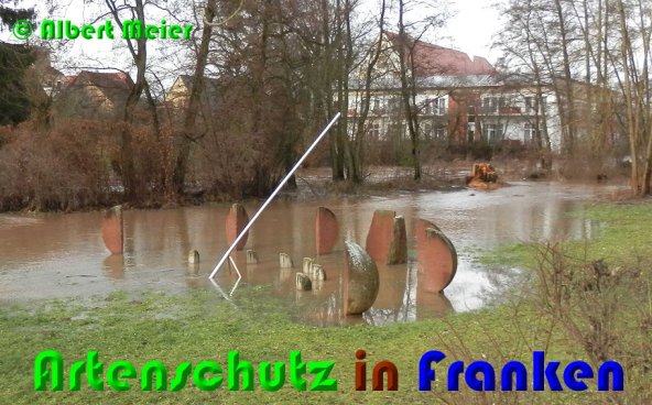 Copyright AiS Albert Meier Bild zum Eintrag (53252-160)