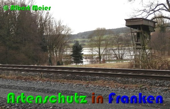 Copyright AiS Albert Meier Bild zum Eintrag (53253-160)