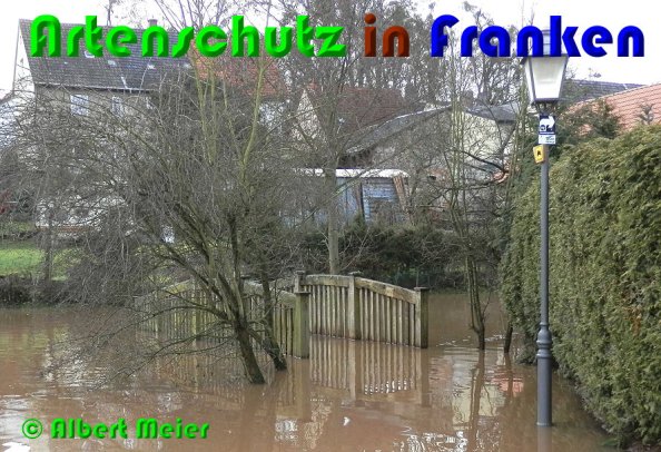 Bild zum Eintrag (53255-160)