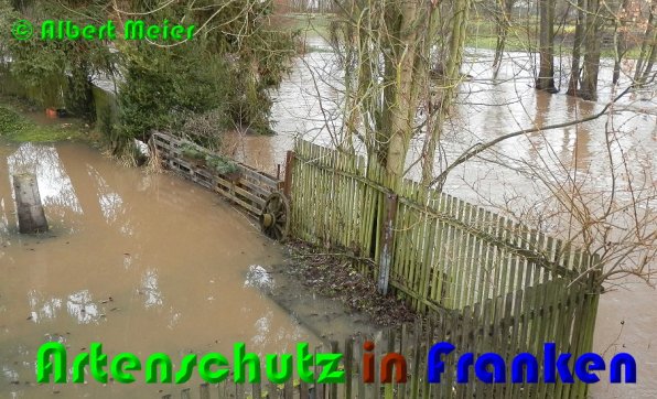 Bild zum Eintrag (53256-160)