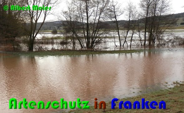 Bild zum Eintrag (53257-160)