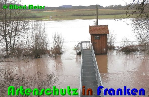 Bild zum Eintrag (53259-160)