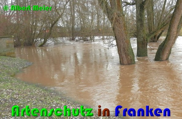 Bild zum Eintrag (53260-160)