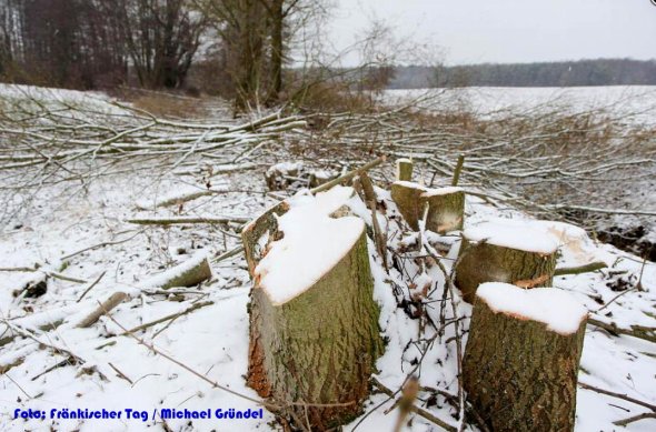 Copyright AiS Fränkischer Tag / Gründel Bild zum Eintrag (53913-160)