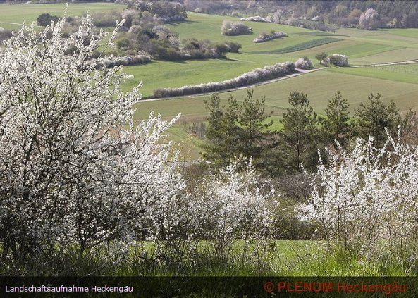Copyright AiS © PLENUM Heckengäu Bild zum Eintrag (54208-160)