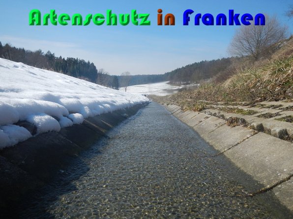 Copyright AiS Jan Knapp Bild zum Eintrag (55017-160)