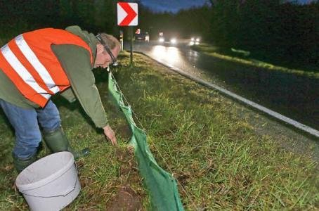 Copyright AiS Fränkischer Tag / Barbara Herbst Bild zum Eintrag (56705-160)