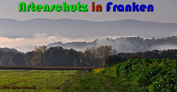 Copyright AiS Klaus Sanwald Bild zum Eintrag (61213-160)