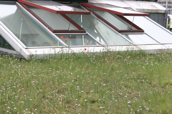 Copyright AiS © Deutsche Bundesstiftung Umwelt (DBU) Bild zum Eintrag (68664-160)