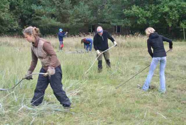 Copyright AiS © DBU Naturerbe/Bergwaldprojekt e.V. Bild zum Eintrag (70125-160)