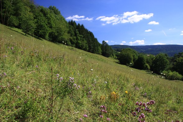 Copyright AiS © Markus Trommler Bild zum Eintrag (70824-160)