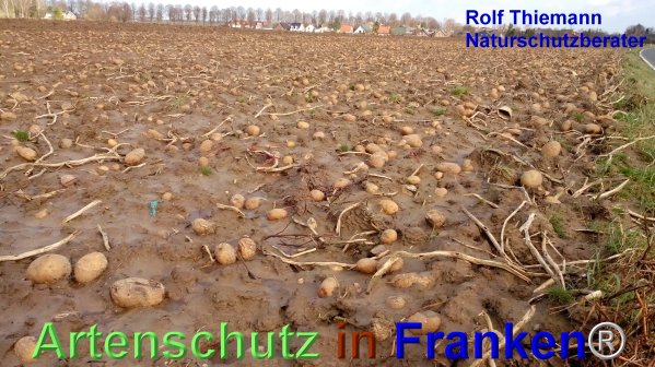 Copyright AiF Rolf Thiemann Bild zum Eintrag (71814-160)