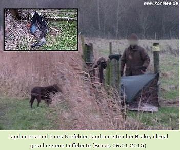 Copyright AiF - Komitee gegen den Vogelmord (CABS) e.V. Bild zum Eintrag (71837-160)