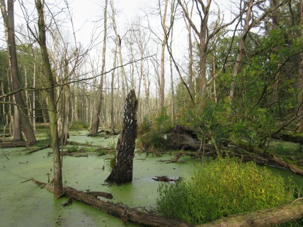 Copyright AiF © Deutsche Bundesstiftung Umwelt Bild zum Eintrag (72304-160)