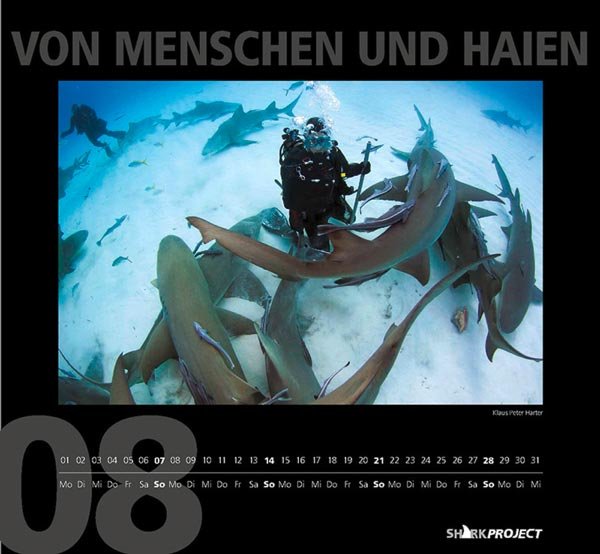 Copyright AiF sharkprojekt Bild zum Eintrag (77712-160)