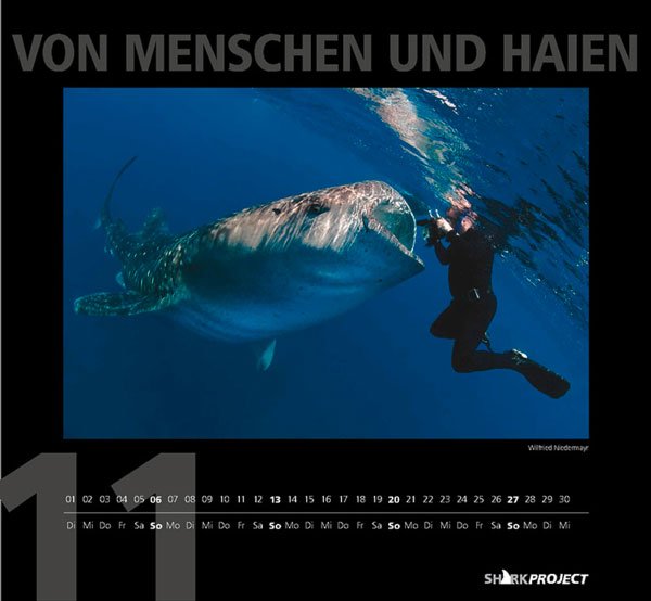Copyright AiF sharkprojekt Bild zum Eintrag (77714-160)