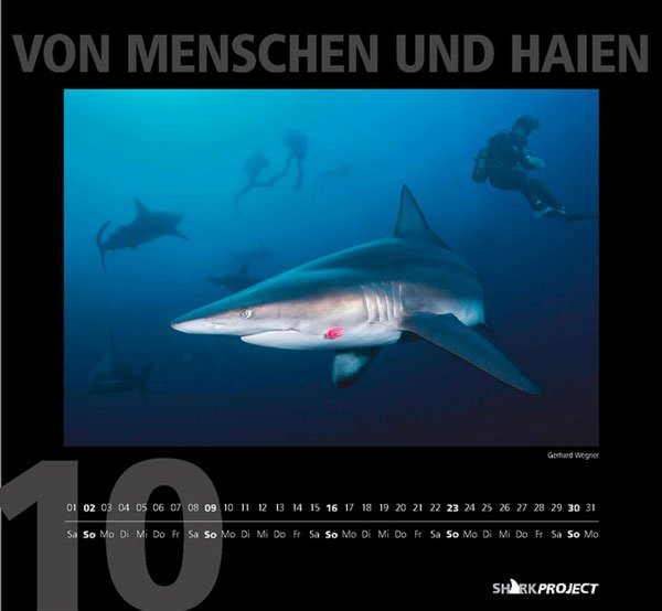 Copyright AiF sharkprojekt Bild zum Eintrag (77715-160)