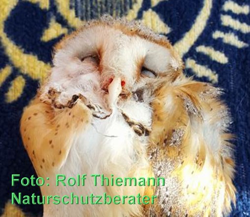 Copyright AiF Rolf Thiemann Bild zum Eintrag (79484-160)