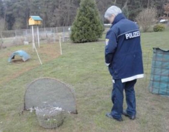 Copyright AiF - Komitee gegen den Vogelmord Bild zum Eintrag (81690-160)