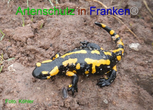 Copyright AiF - Thomas Köhler Bild zum Eintrag (81911-160)