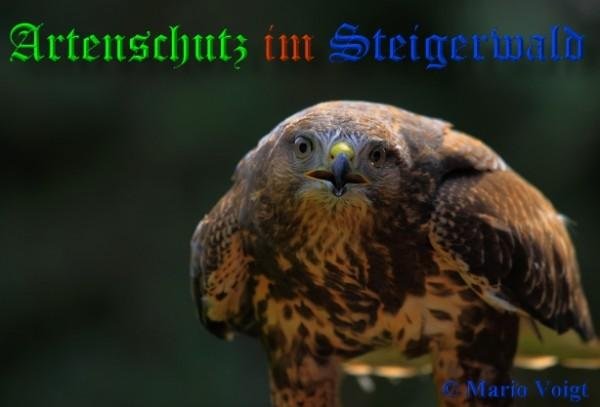 Copyright AiF Mario Voigt Bild zum Eintrag (82034-160)