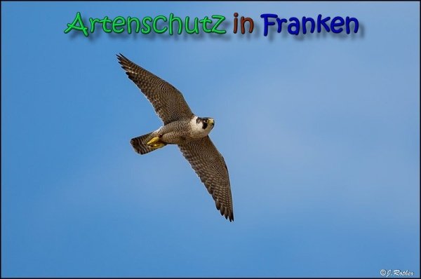 Copyright AiF Johannes Rother Bild zum Eintrag (87264-160)