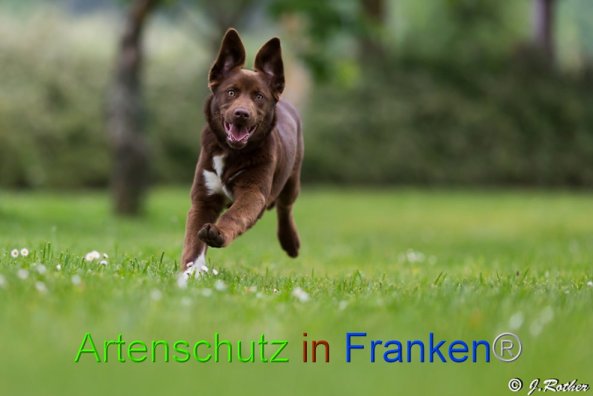 Copyright AiF - Johannes Rother Bild zum Eintrag (89054-160)