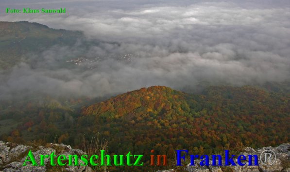 Copyright AiF - Klaus Sanwald Bild zum Eintrag (89291-160)