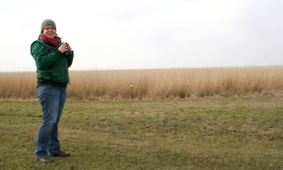 Copyright AiF / Nationalparkverwaltung Niedersächsisches Wattenmeer - © Wells/LKN.SH Bild zum Eintrag (89404-160)